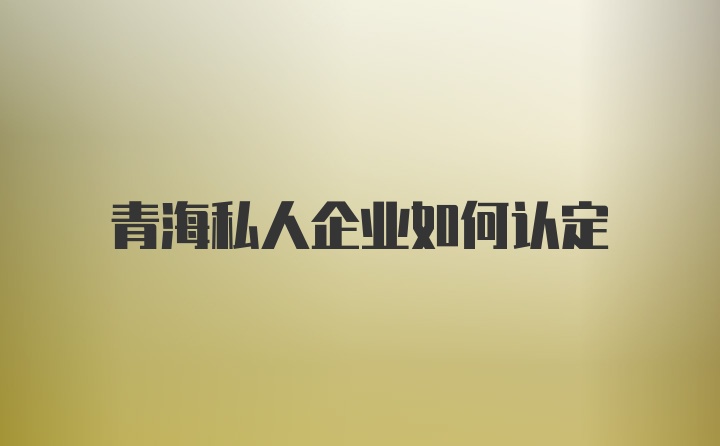 青海私人企业如何认定