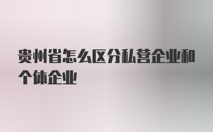 贵州省怎么区分私营企业和个体企业