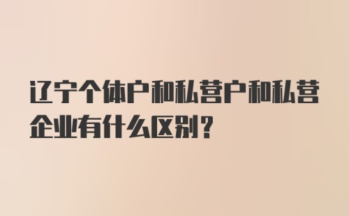 辽宁个体户和私营户和私营企业有什么区别？