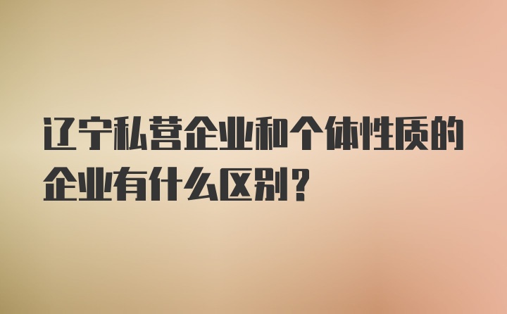 辽宁私营企业和个体性质的企业有什么区别？