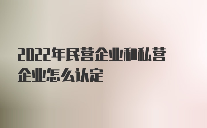 2022年民营企业和私营企业怎么认定