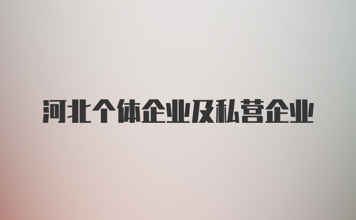 河北个体企业及私营企业