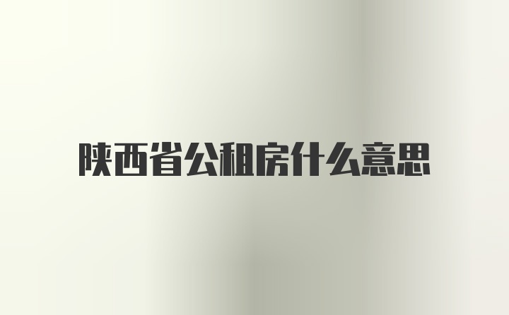 陕西省公租房什么意思