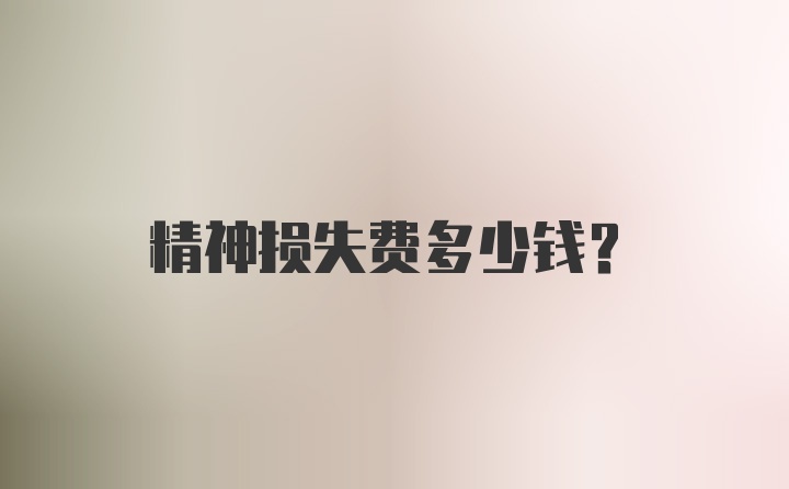 精神损失费多少钱?