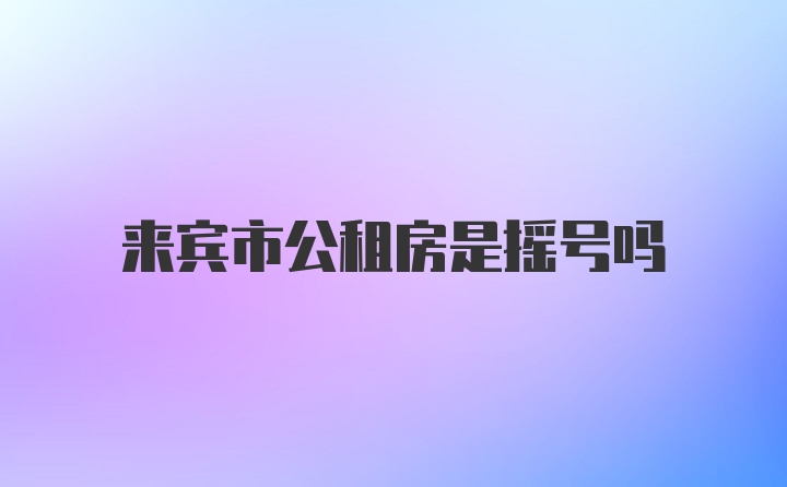 来宾市公租房是摇号吗