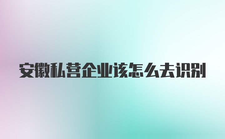 安徽私营企业该怎么去识别