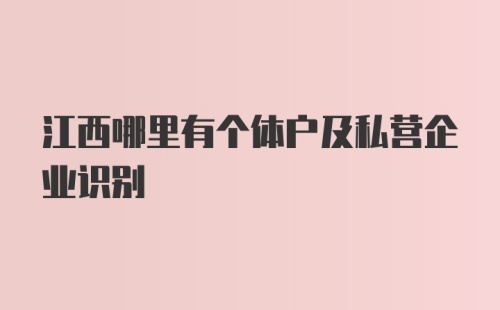 江西哪里有个体户及私营企业识别