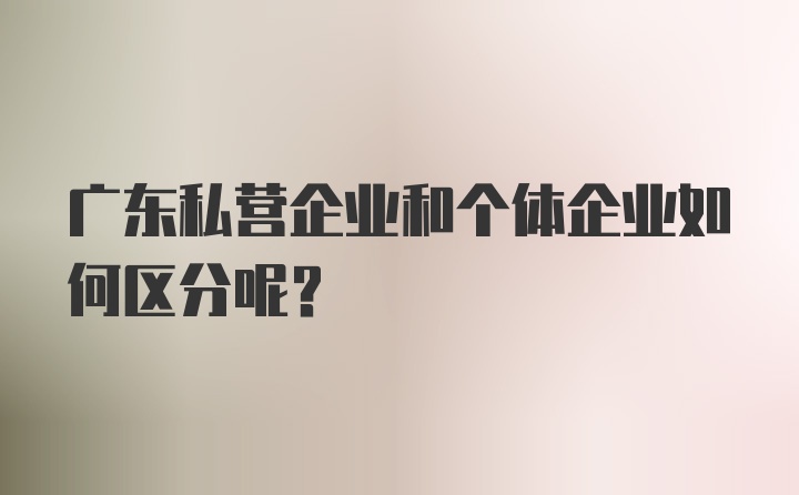 广东私营企业和个体企业如何区分呢？