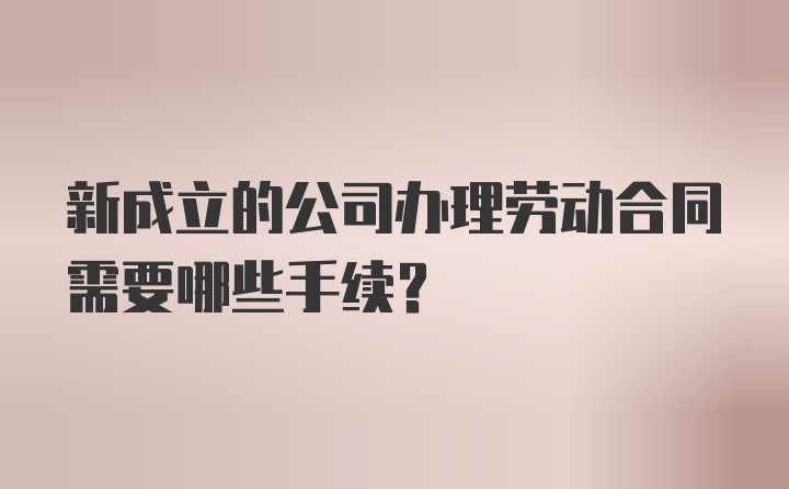 新成立的公司办理劳动合同需要哪些手续？