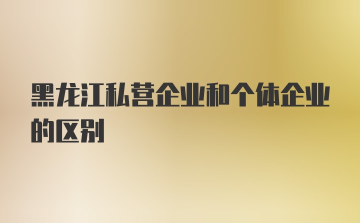 黑龙江私营企业和个体企业的区别