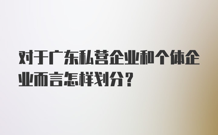 对于广东私营企业和个体企业而言怎样划分？