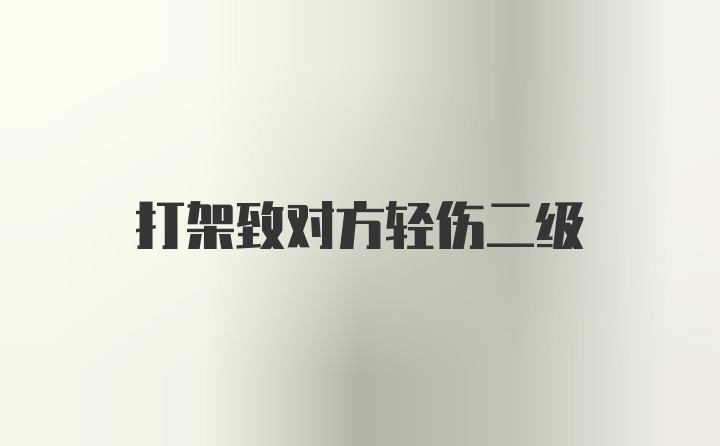 打架致对方轻伤二级