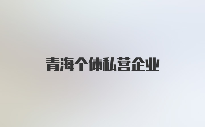 青海个体私营企业