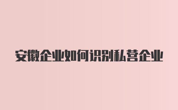 安徽企业如何识别私营企业