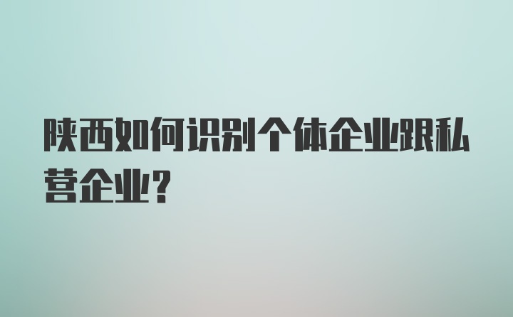 陕西如何识别个体企业跟私营企业？