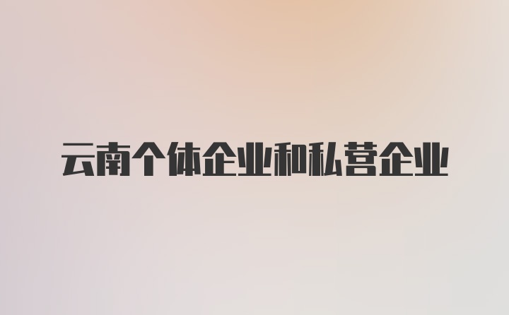 云南个体企业和私营企业