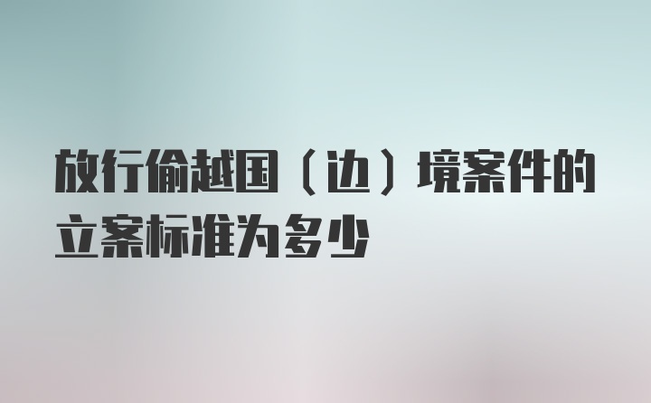 放行偷越国(边)境案件的立案标准为多少