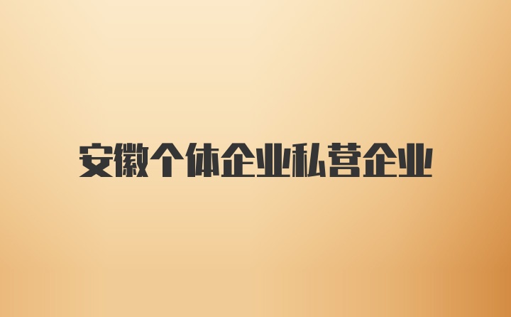 安徽个体企业私营企业