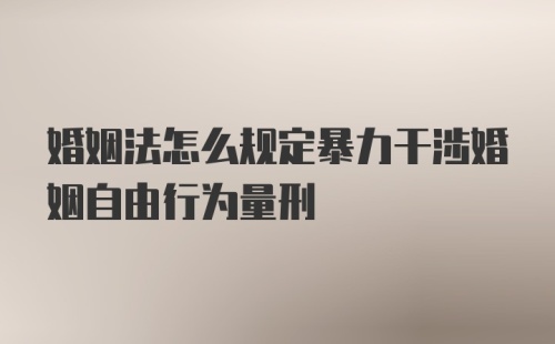 婚姻法怎么规定暴力干涉婚姻自由行为量刑