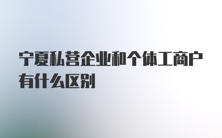 宁夏私营企业和个体工商户有什么区别