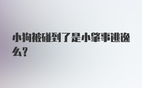 小狗被碰到了是小肇事逃逸么？