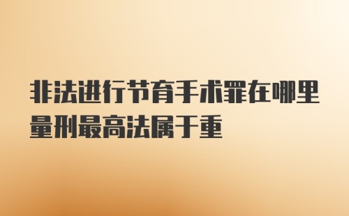 非法进行节育手术罪在哪里量刑最高法属于重