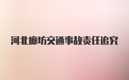 河北廊坊交通事故责任追究