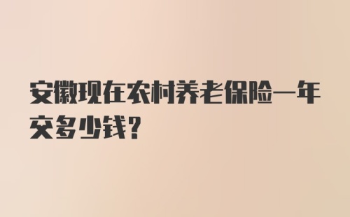 安徽现在农村养老保险一年交多少钱?