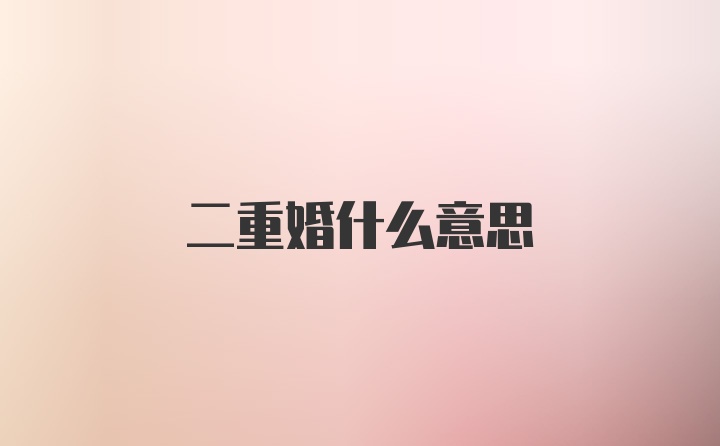 二重婚什么意思