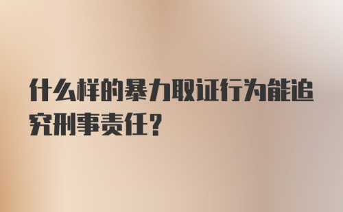 什么样的暴力取证行为能追究刑事责任?