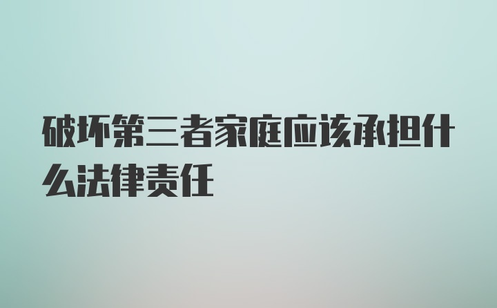 破坏第三者家庭应该承担什么法律责任