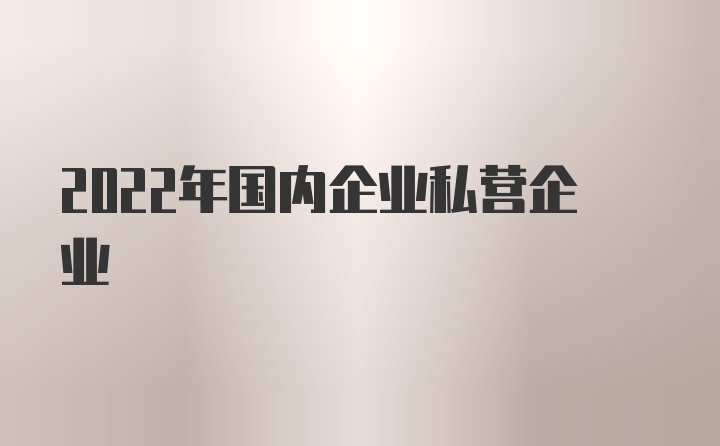 2022年国内企业私营企业