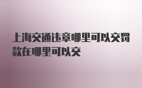 上海交通违章哪里可以交罚款在哪里可以交