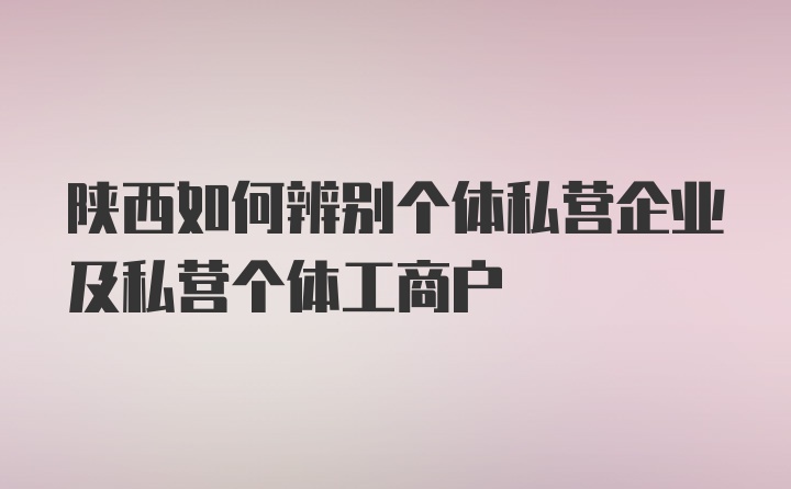 陕西如何辨别个体私营企业及私营个体工商户