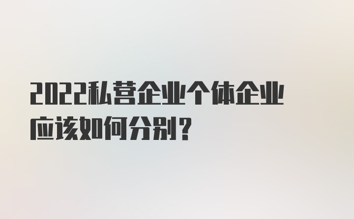 2022私营企业个体企业应该如何分别？