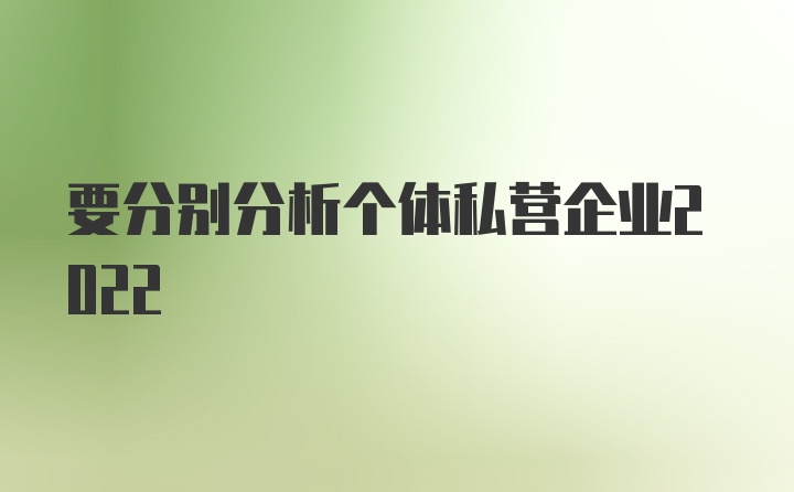 要分别分析个体私营企业2022