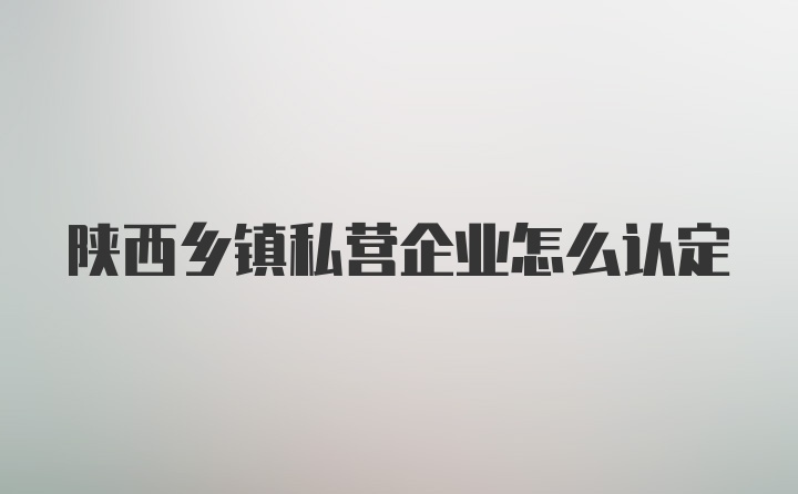 陕西乡镇私营企业怎么认定