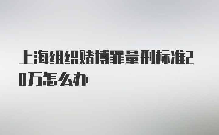 上海组织赌博罪量刑标准20万怎么办