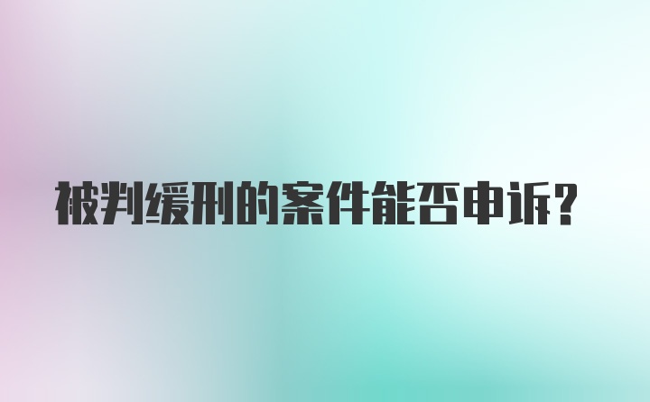 被判缓刑的案件能否申诉？