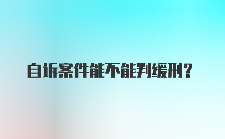 自诉案件能不能判缓刑？