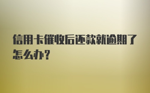 信用卡催收后还款就逾期了怎么办？