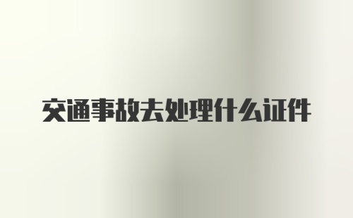 交通事故去处理什么证件