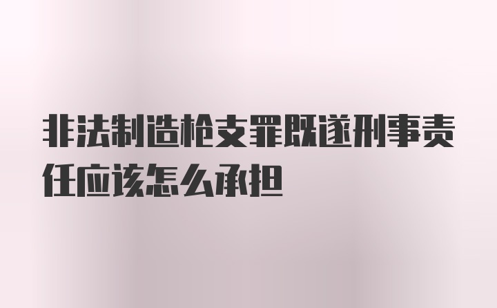 非法制造枪支罪既遂刑事责任应该怎么承担