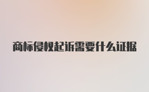 商标侵权起诉需要什么证据