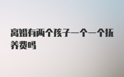 离婚有两个孩子一个一个抚养费吗