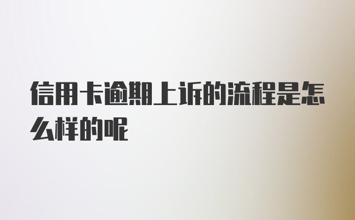 信用卡逾期上诉的流程是怎么样的呢