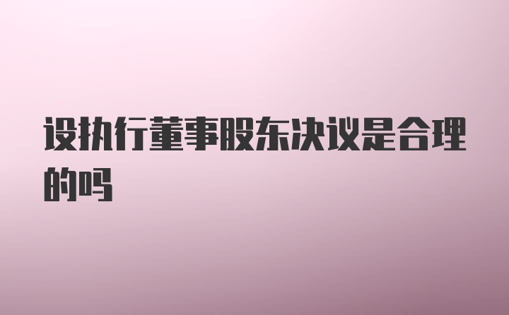 设执行董事股东决议是合理的吗