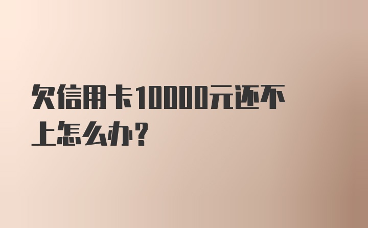 欠信用卡10000元还不上怎么办？