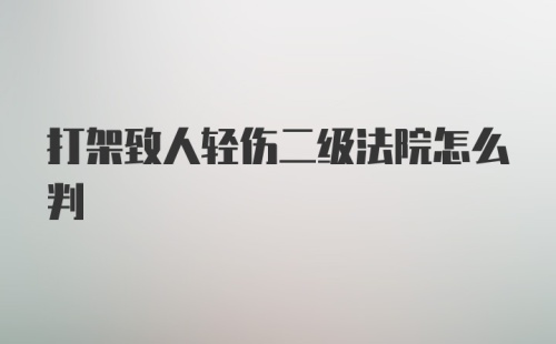 打架致人轻伤二级法院怎么判