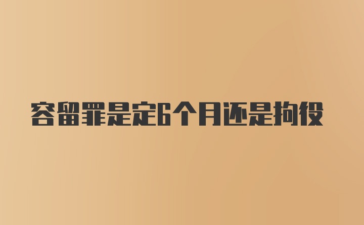 容留罪是定6个月还是拘役